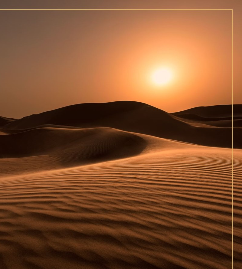 Desert landscape at sunset